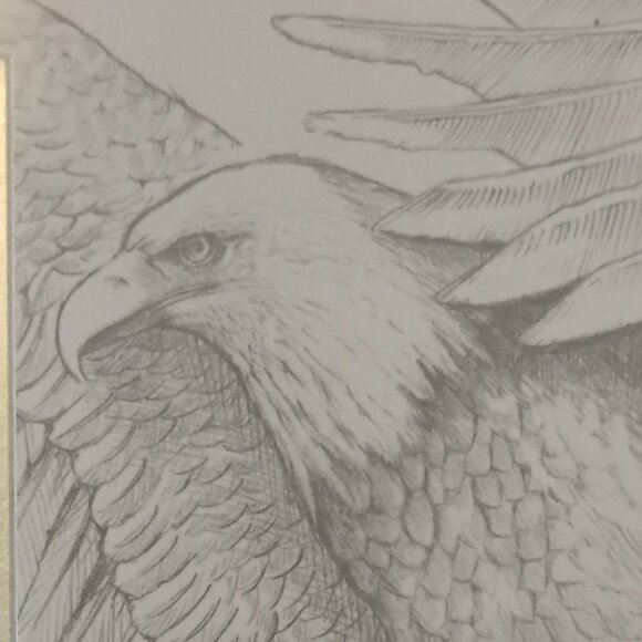 Eagle Scout Picture Frame - Picture 6 of 6